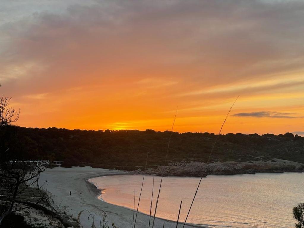 Apartamento Brisa De Menorca Son Parc Εξωτερικό φωτογραφία